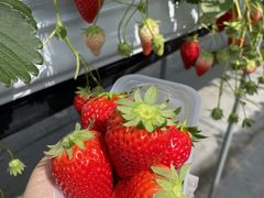 chiz̕όAOXl΂ւ̓eʐ^1