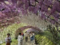 感嘆のため息しか出ません - 河内藤園のクチコミ - じゃらんnet