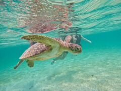 邳OCEAN LIFEւ̓eʐ^1