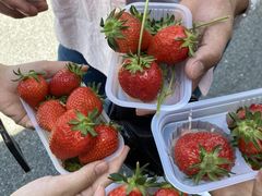 Makỉʎ̗@c_ւ̓eʐ^1