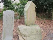 ڂ炳̔mԂ̔i_{j̓eʐ^3