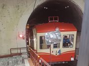 60̃Xm[{[h񂳂̗RAy[gP[uJ[̓eʐ^3