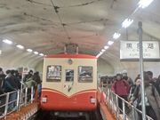 60̃Xm[{[h񂳂̗RAy[gP[uJ[̓eʐ^5