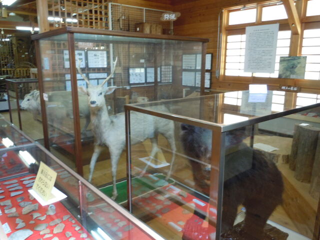 F⎭̂͂_Lcsyفu?܁v