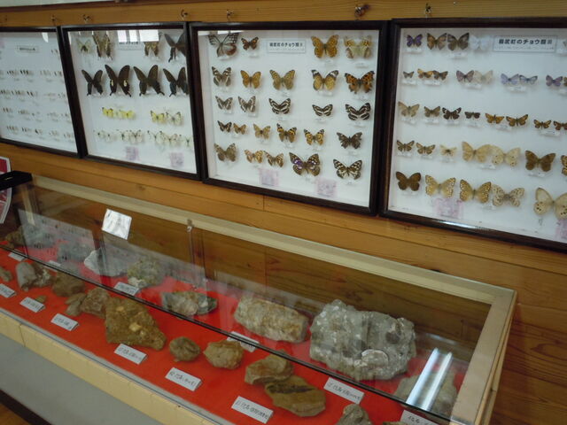 Ɖ΂̓W_Lcsyفu?܁v