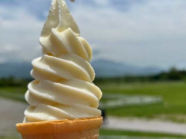 �Z���\�t�g�N���[������i��_����