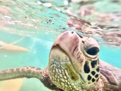 񂳂̋{Ó} GB QUESTւ̓eʐ^1