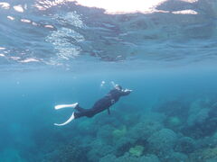 񂳂̂ՂՂ@{Óւ̓eʐ^1