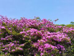 񂳂̕ʕ{[vEFCւ̓eʐ^1