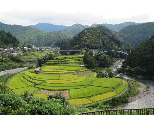 ���炬��_���̉w ���炬�̗�