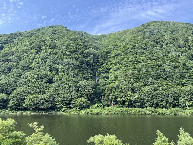 �����c�B_�����̑�