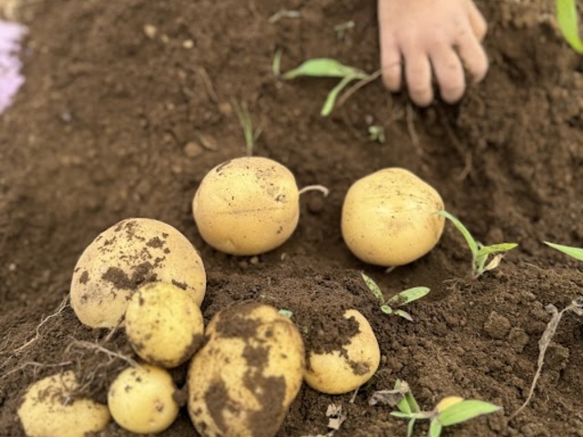 �������Ĕ炪�ނ����炻���Ȃ��Ⴊ�����́A�J�S�Ɏc���ĕK�v�Ȃ��Ⴊ�������������A�邱�Ƃ��ł��܂��B_JAL Agriport