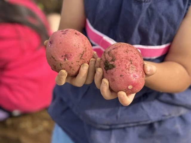 ���b�h���[���Ƃ����Ԃ����Ⴊ�����͏��߂Ăł������A�@��̂��{���Ɋy���������I�I_JAL Agriport