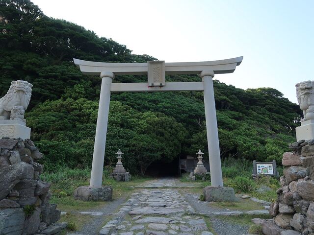 Ђł񂳂̑喩_Ђ̓eʐ^1