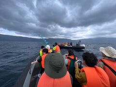 ܂񂳂̏\ac΃p[X|bgN[Yւ̓eʐ^1