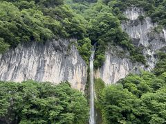 mally����̈�q���ւ̓��e�ʐ^1