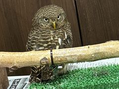 �悵������̃A�N�A�t�H���X�g�@-���̐X-�ւ̓��e�ʐ^1