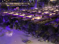 ̂肽܂̑Óւ̓eʐ^1