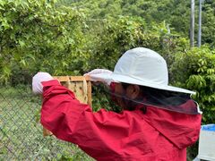 LuLberich{I@OgRւ̓eʐ^1