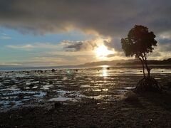 ܂܂̂ЂI[VYւ̓eʐ^1