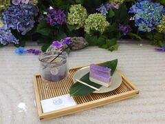 jR񂳂̊qʂւ̓eʐ^1