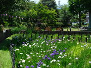 悵ق̂傤ԏ̃niVEu̓eʐ^2