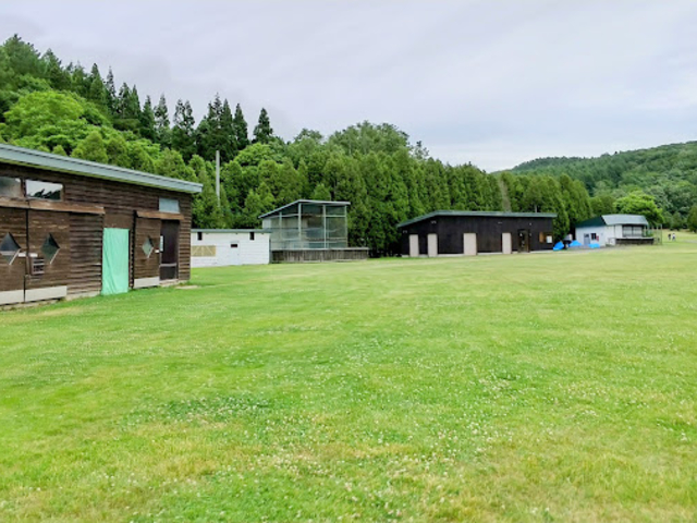 ����������_����݂�������g�����R�[�X