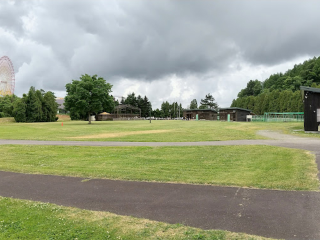 �L�X�Ƃ��Ă܂��B_����݂�������g�����R�[�X