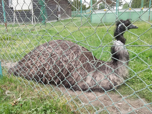 �G�~���[�H_����݂�������g�����R�[�X