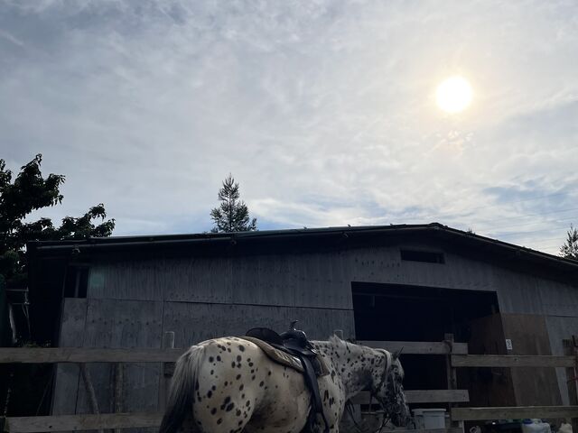 ���ӂ͂ƂĂ��Â��ȃG���A�ł��B_HORSE BASE