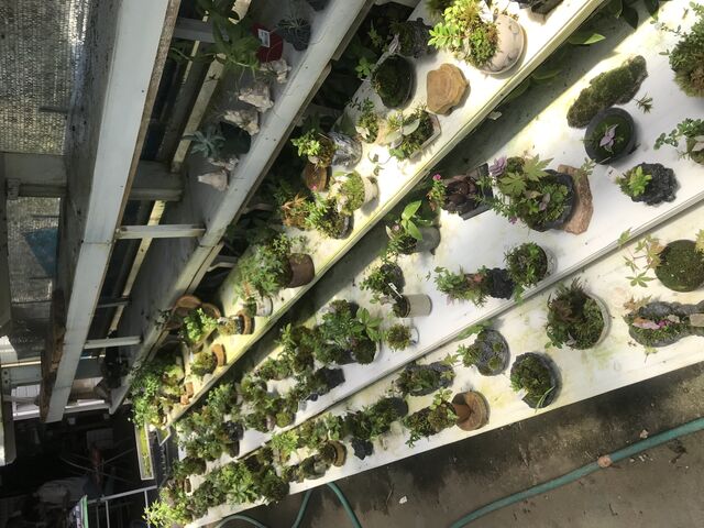 �̔��p_�ۂ̂���