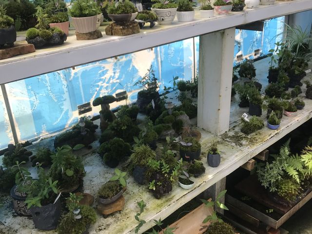 �̔��p_�ۂ̂���