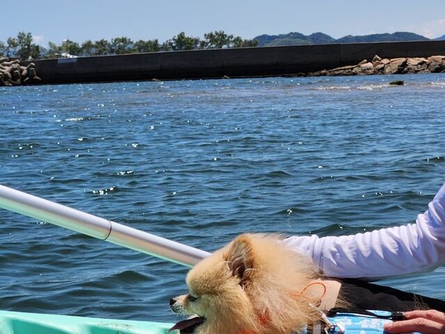 �C�����悳�����Ώ�_�W�H��SUP���J���b�N�����ē���