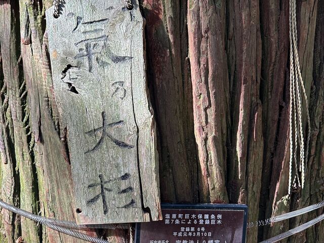 �[�ċz���Ă���������_���������{