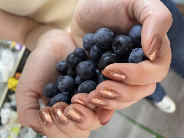 �����ς��Ƃꂽ�I_�u���[�x���[���@�����₫