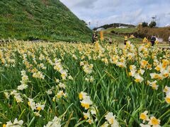 �����̂肳��̒ܖ؍�̐���ւ̓��e�ʐ^1