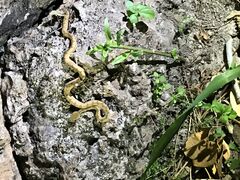 䂫[̂ЂI[VYւ̓eʐ^1