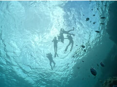 ̐̓AJiT_CrOւ̓eʐ^1