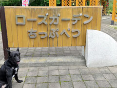 IĨ[YK[fՂׂւ̓eʐ^1