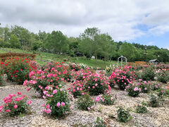 IĨ[YK[fՂׂւ̓eʐ^5