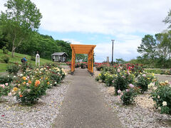 IĨ[YK[fՂׂւ̓eʐ^9