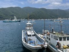 reon1960̌˓c` ۂւ̓eʐ^1