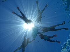 Ԃ񂽂̉AChN[ւ̓eʐ^1