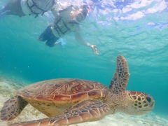 񂳂nico {Óւ̓eʐ^1