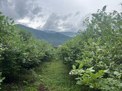 ߂̔n_ u[x[ւ̓eʐ^1