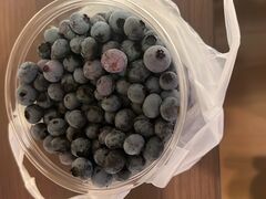 ߂̔n_ u[x[ւ̓eʐ^2