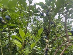 ߂̔n_ u[x[ւ̓eʐ^3