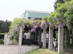 �I���I����̑O�c�X�ь����ւ̓��e�ʐ^2