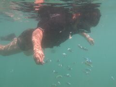 C񂳂Okinawan supւ̓eʐ^3