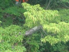 C̏\ac΃p[X|bgN[Yւ̓eʐ^1